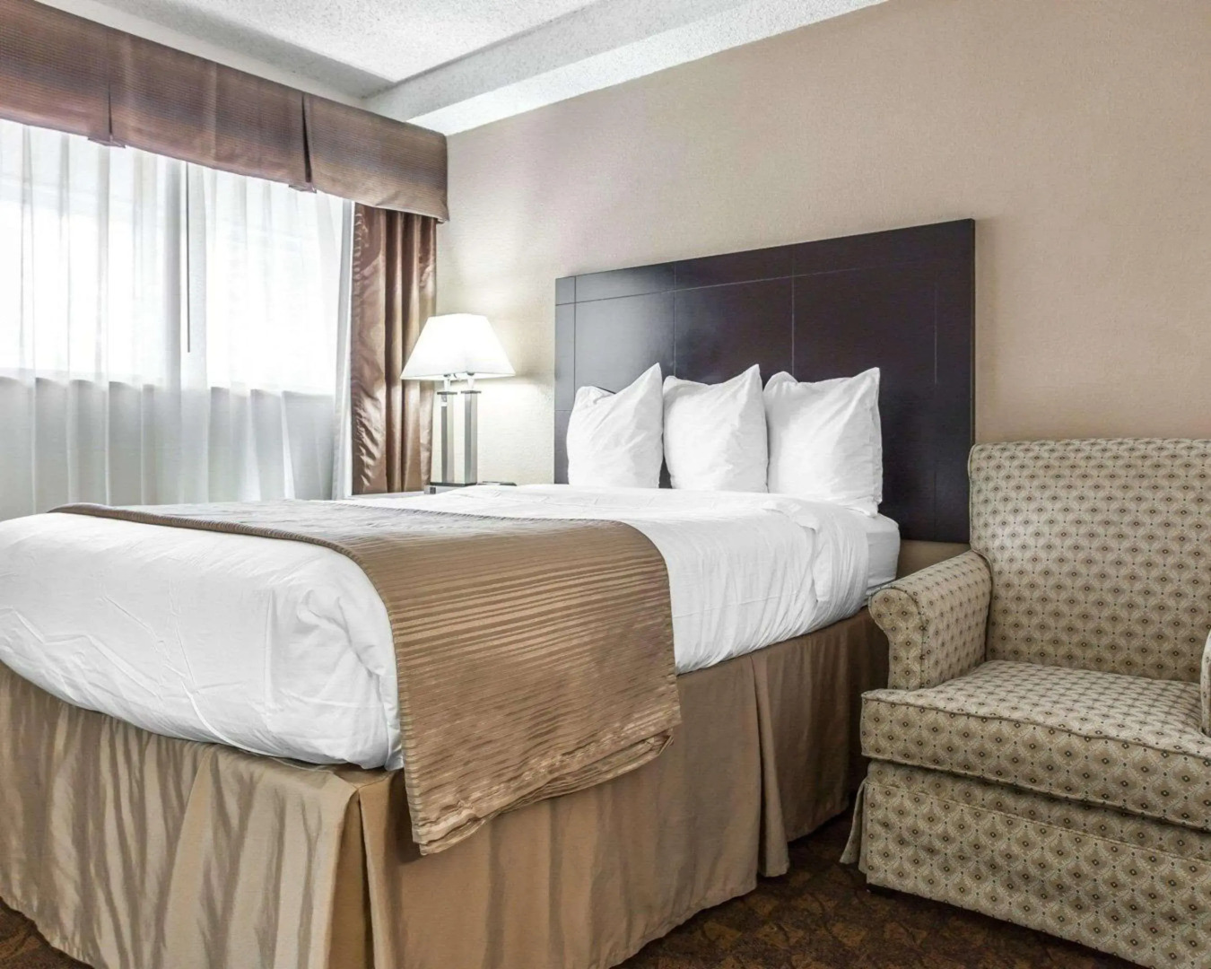 Quality Inn & Suites Coliseum