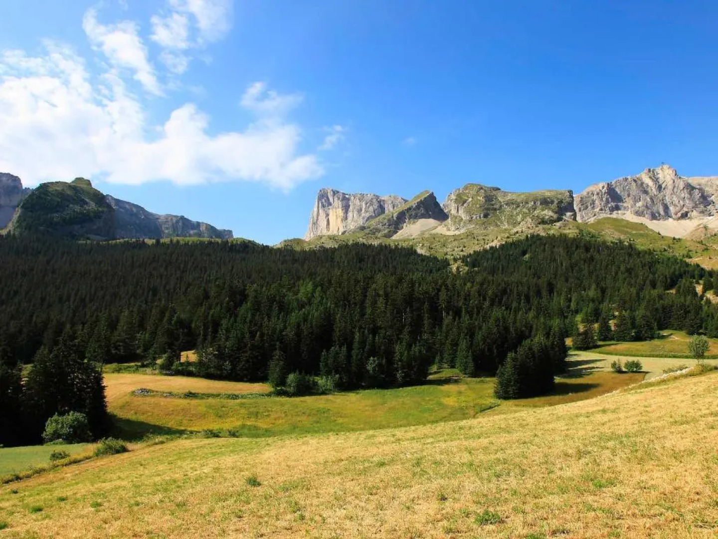 Appartement Le Dévoluy, 2 pièces, 4 personnes - FR-1-504-495