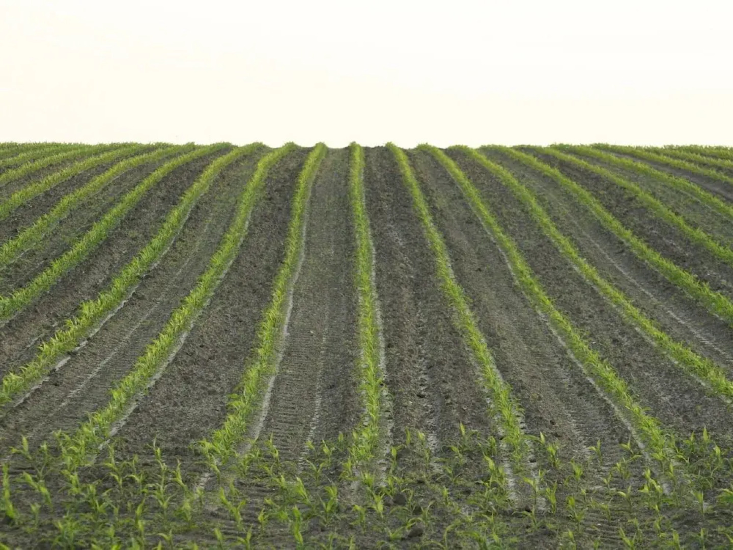 Chalet in Ootmarsum on Kuiperberg