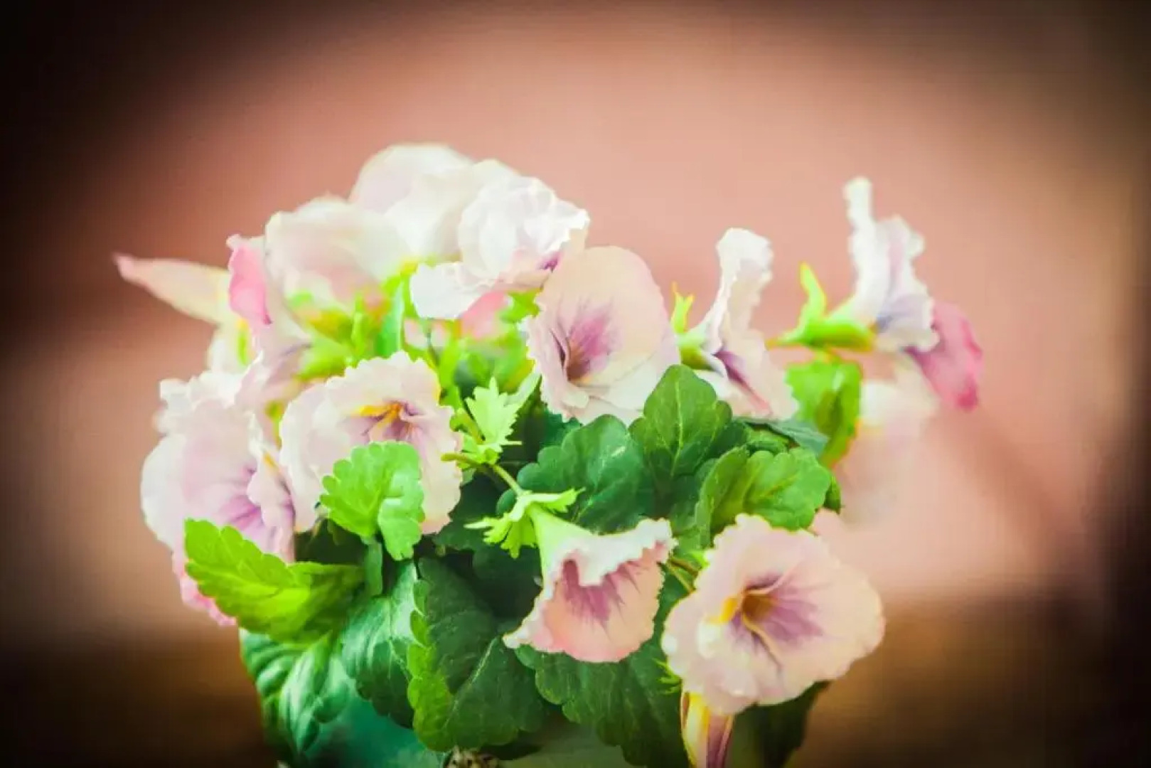 Residence Costazzurra