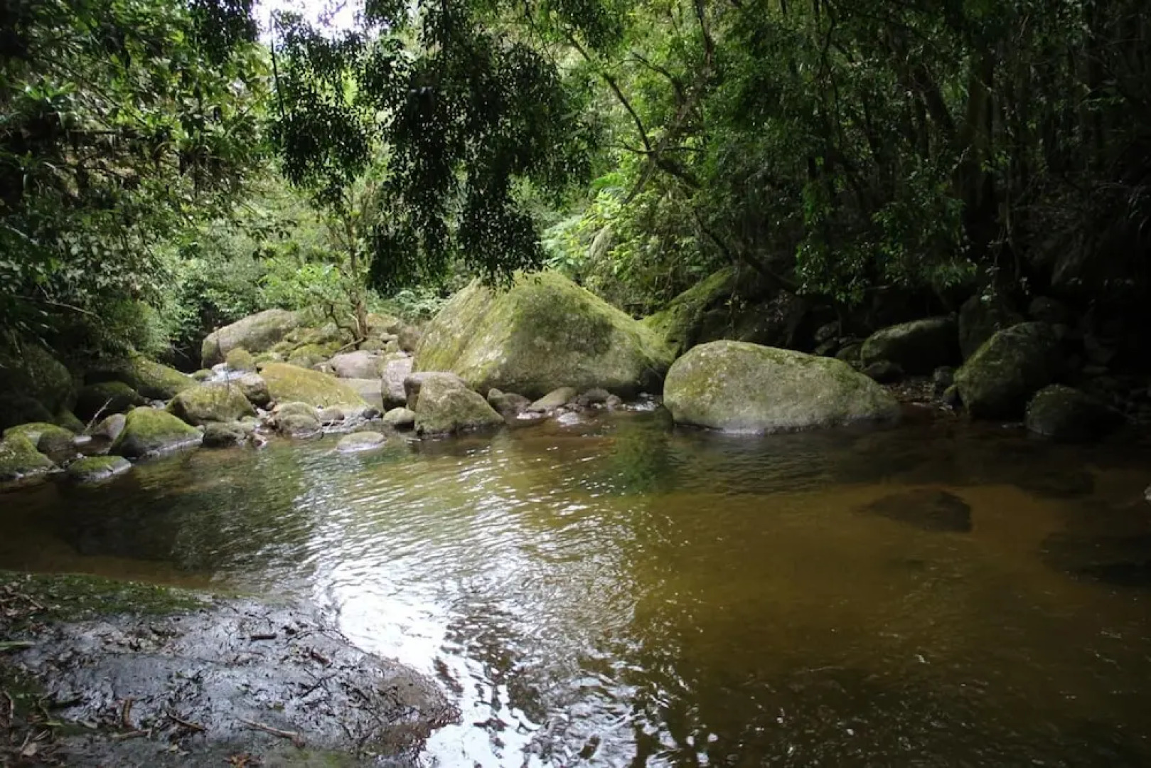 Sana Aluguel Economico