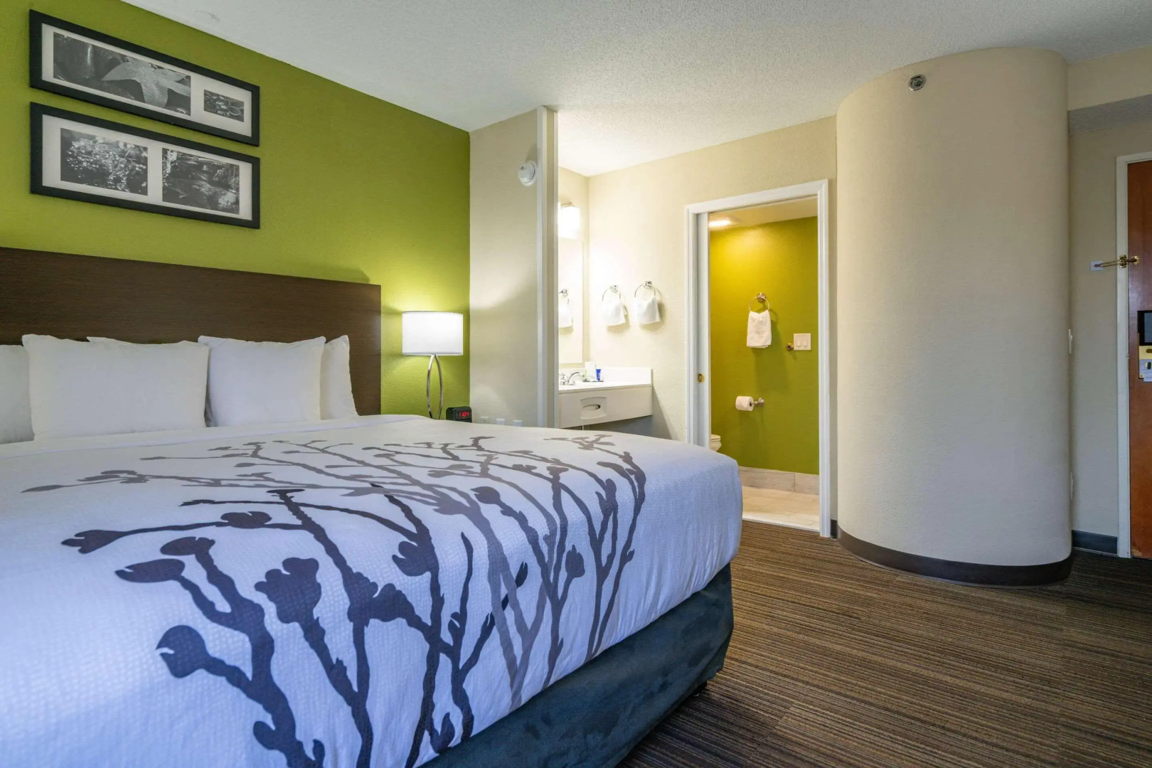 Sleep Inn Murfreesboro Shopping District