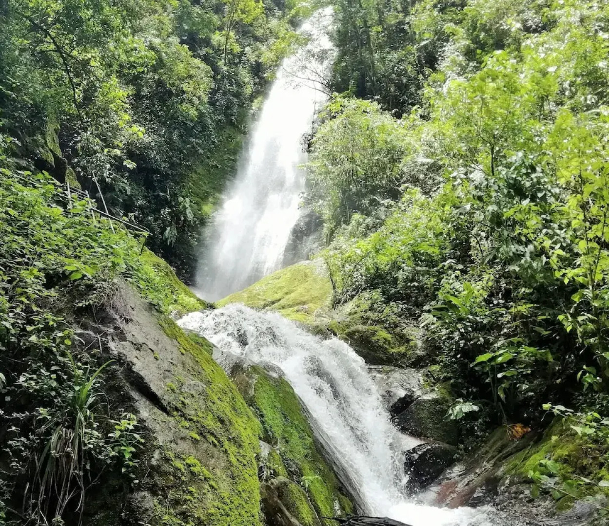 Talamanca Nature Reserve