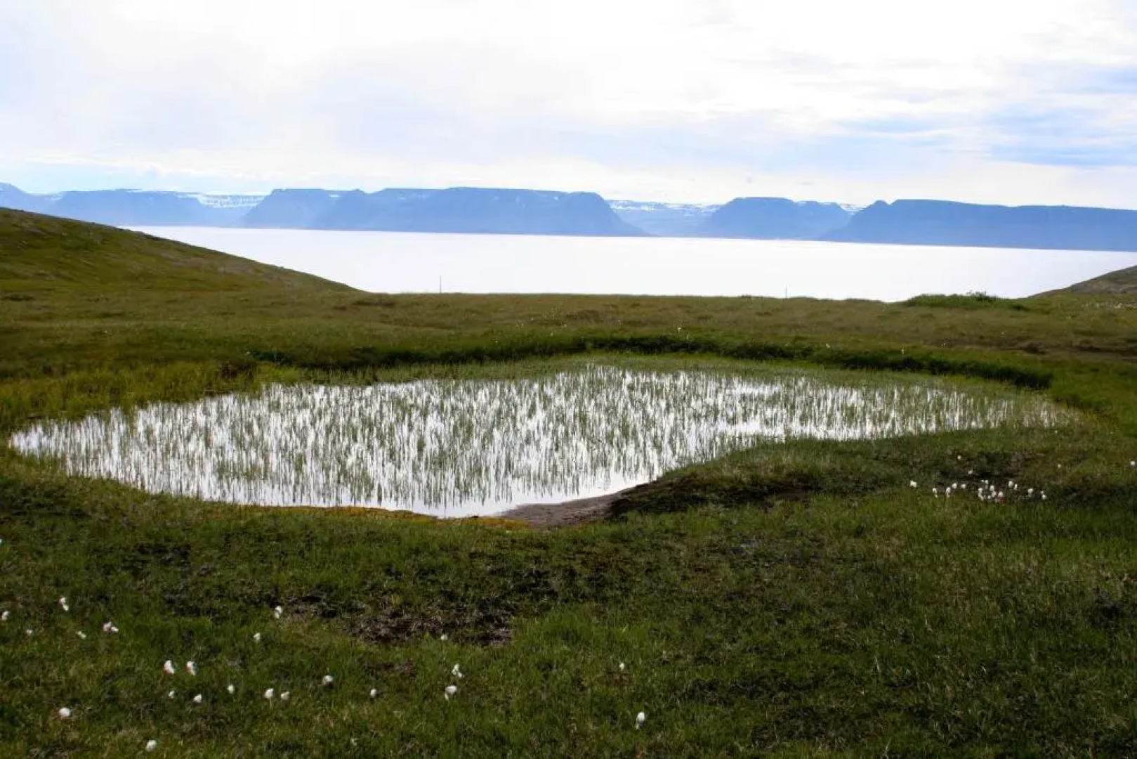 Hotel Isafjordur Horn