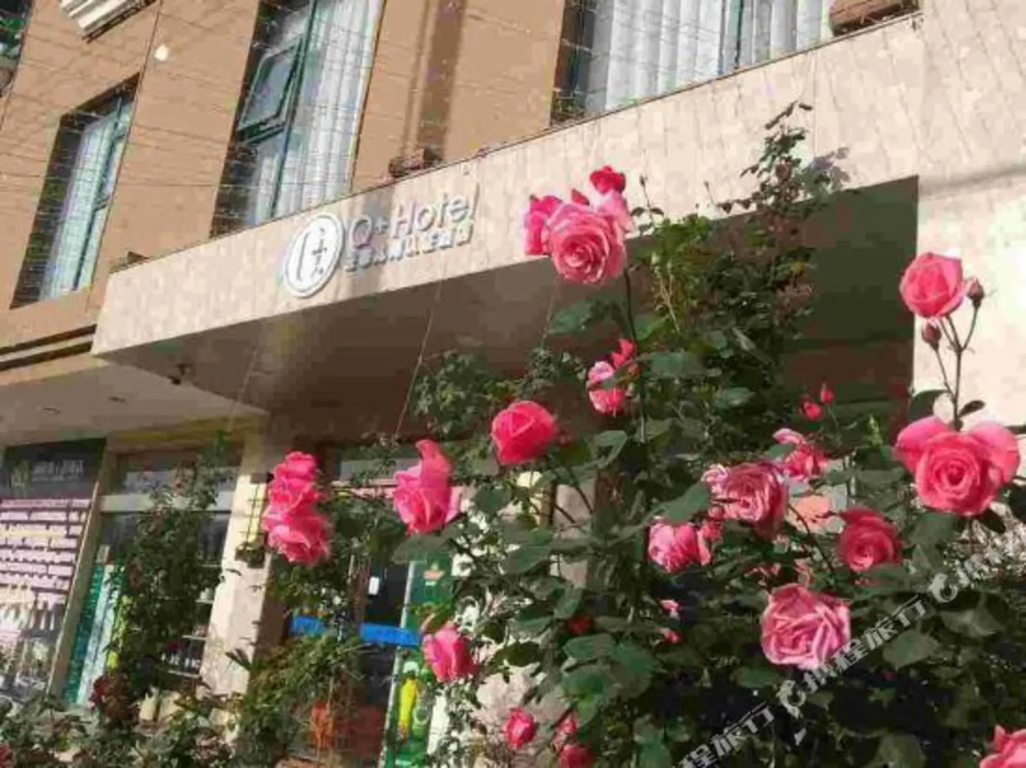 Q+ Veyas Garden Hotel