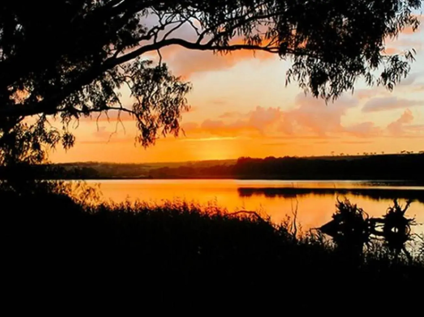 Riverview Rise Retreats