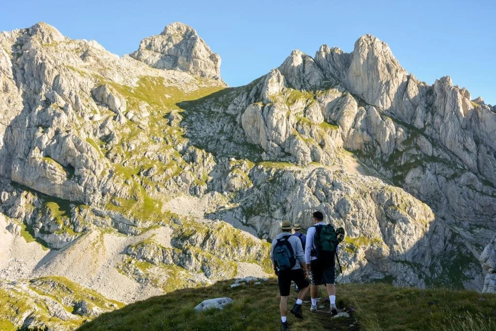 Отель Zlatni Bor