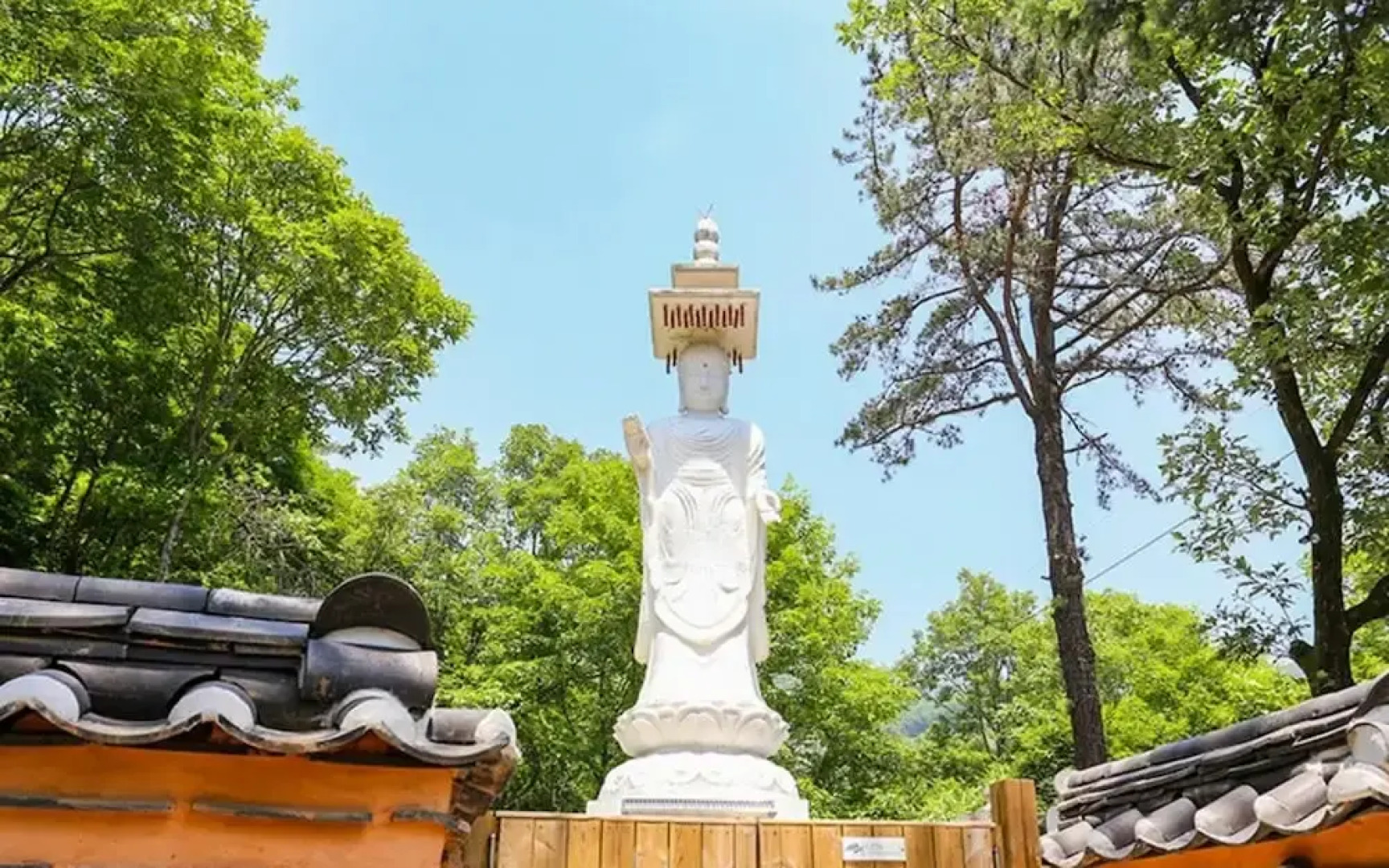 Yangpyeong Live Healing Pension