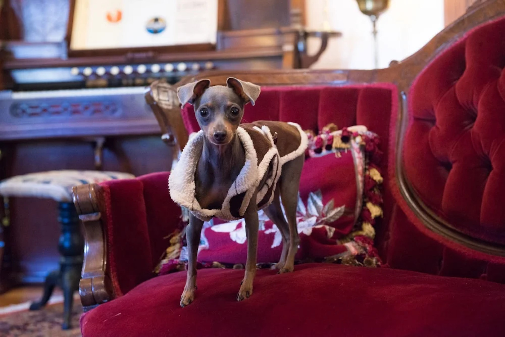 The Gables B&B Philadelphia