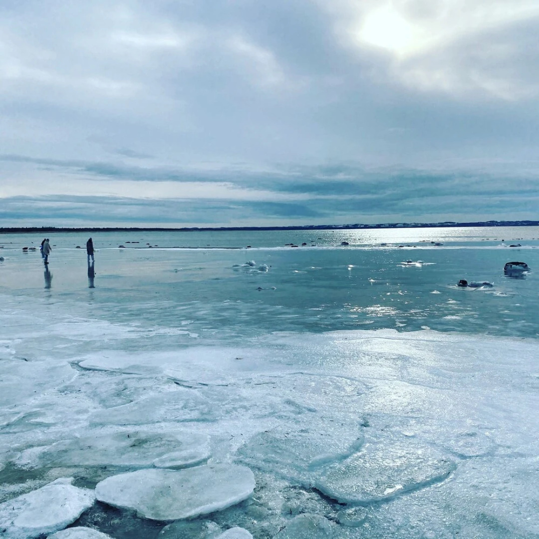 Stunning Ocean View and Private Beach