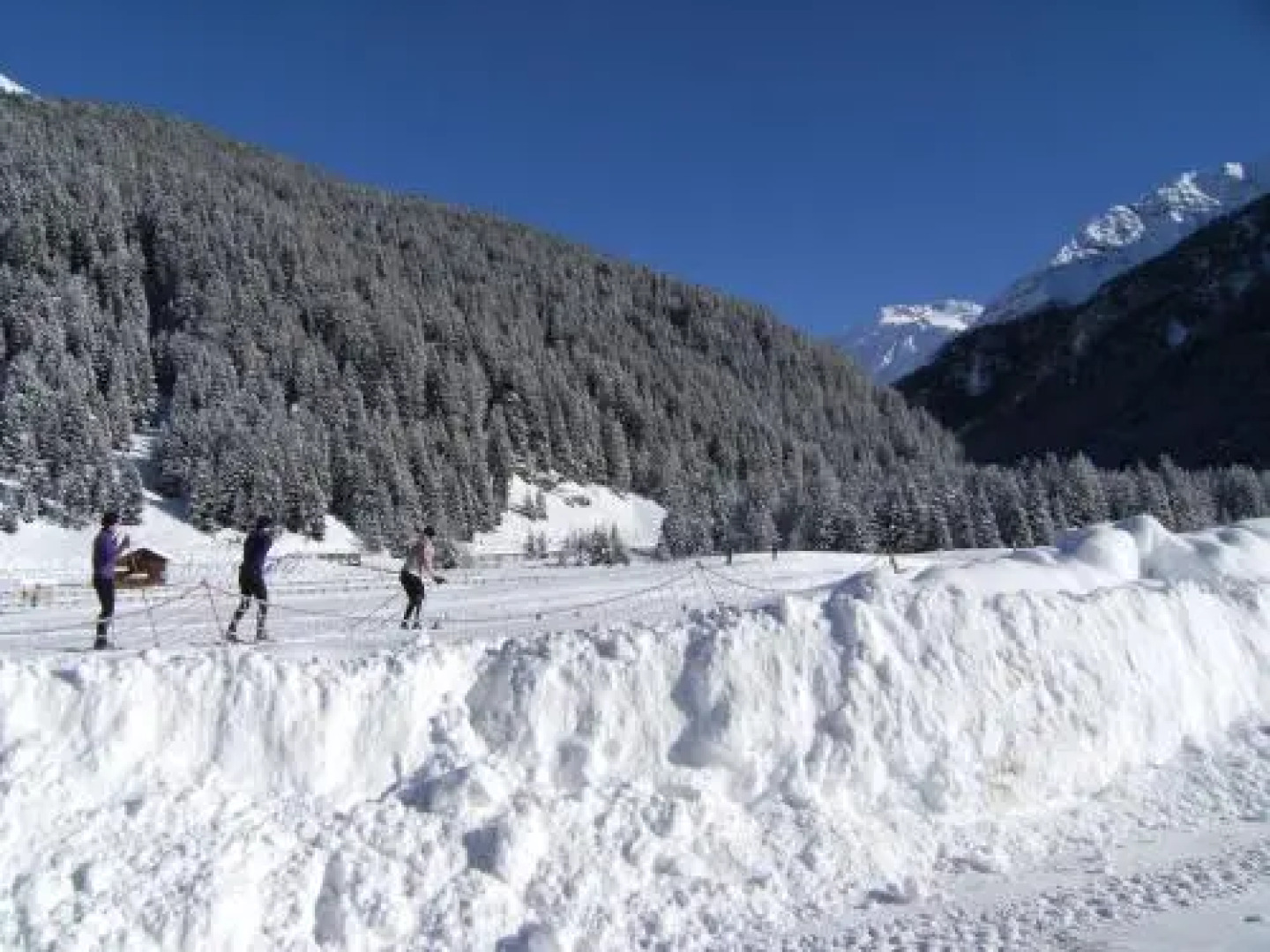 Hotel Garni Thurwieser - B&B