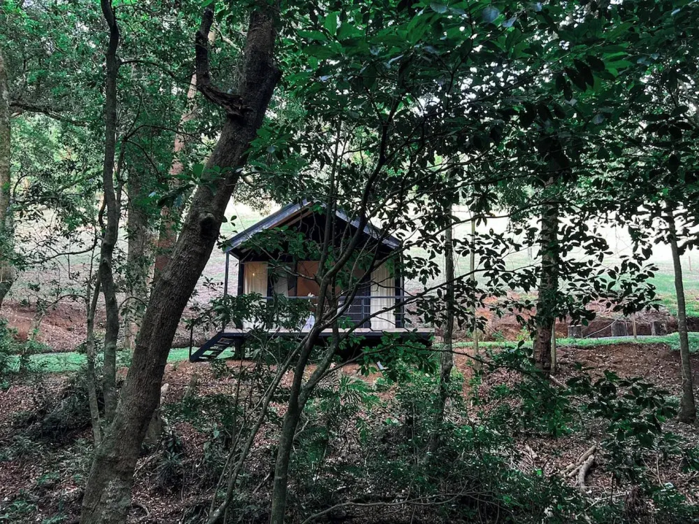 Serenity Ecolodge Costa Rica