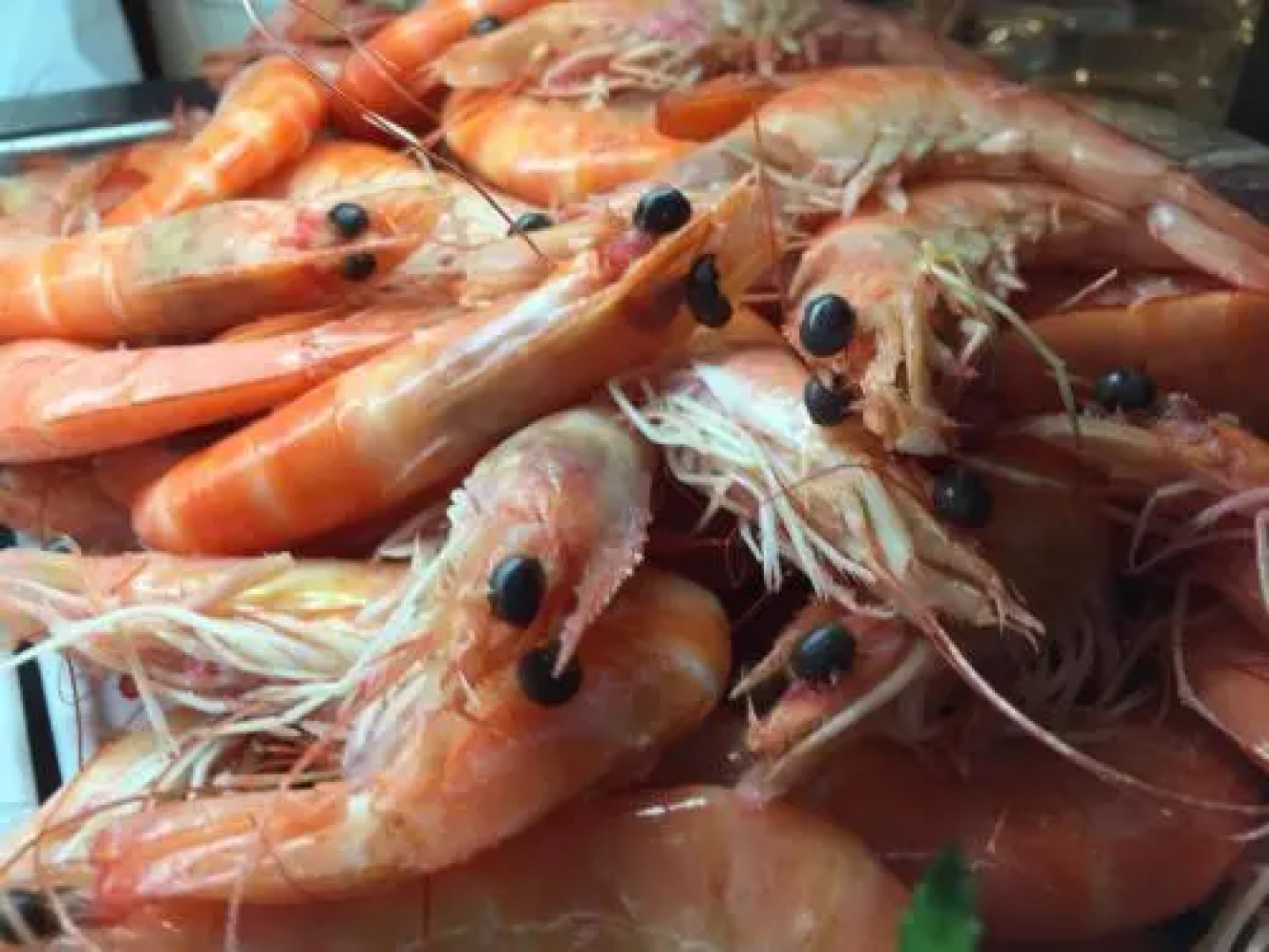 Hotel Fonte de San Roque