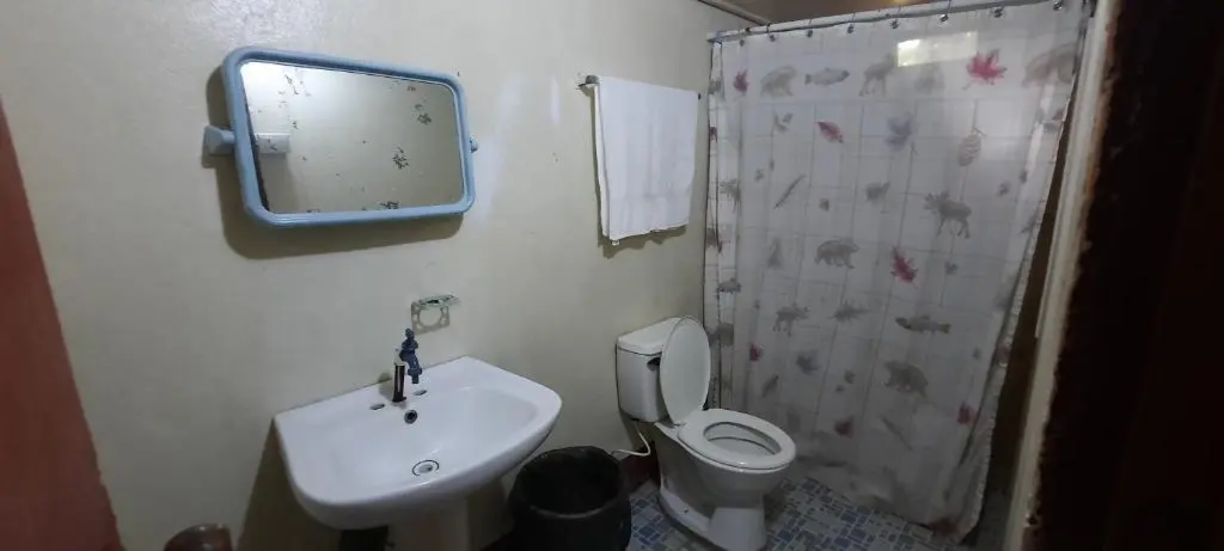 Tropical Dreams Hostel