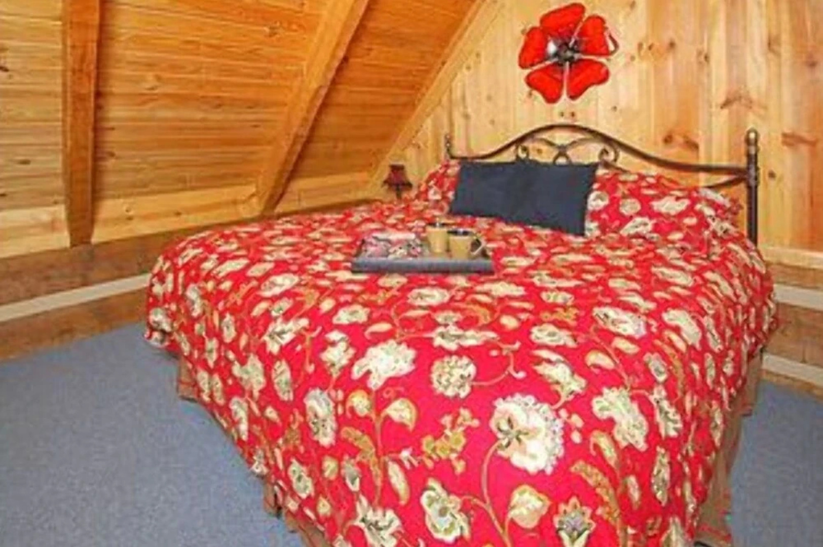 Creek Fever Creek Views