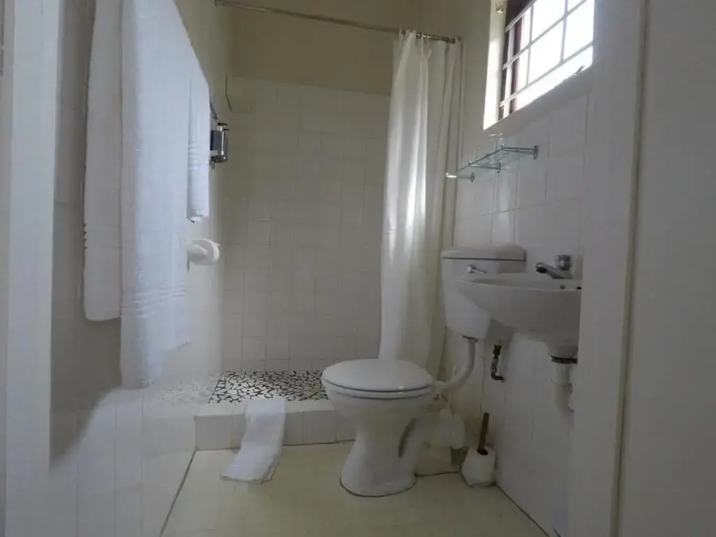 Selborne Bed and Breakfast