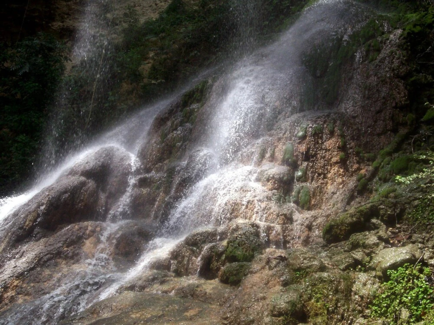 Hotel Hacienda El Jibarito