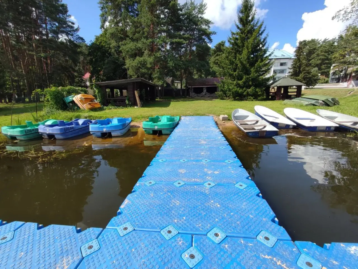 Дривяты (Витебская боласть)