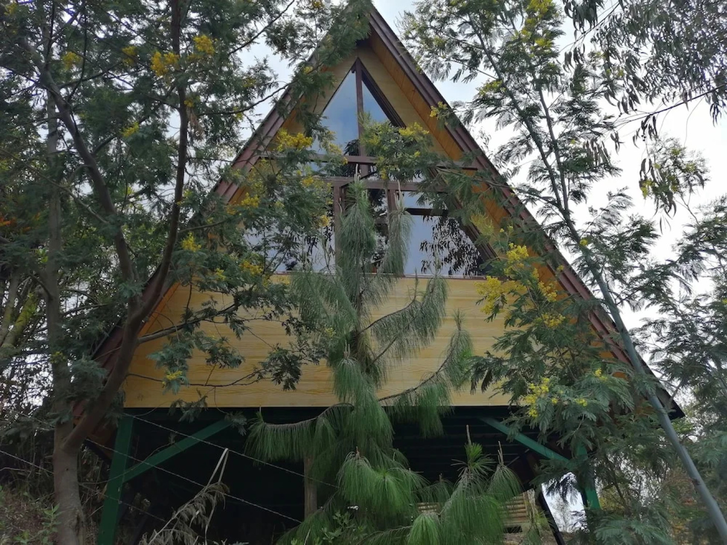 Cabañas Villa Helena