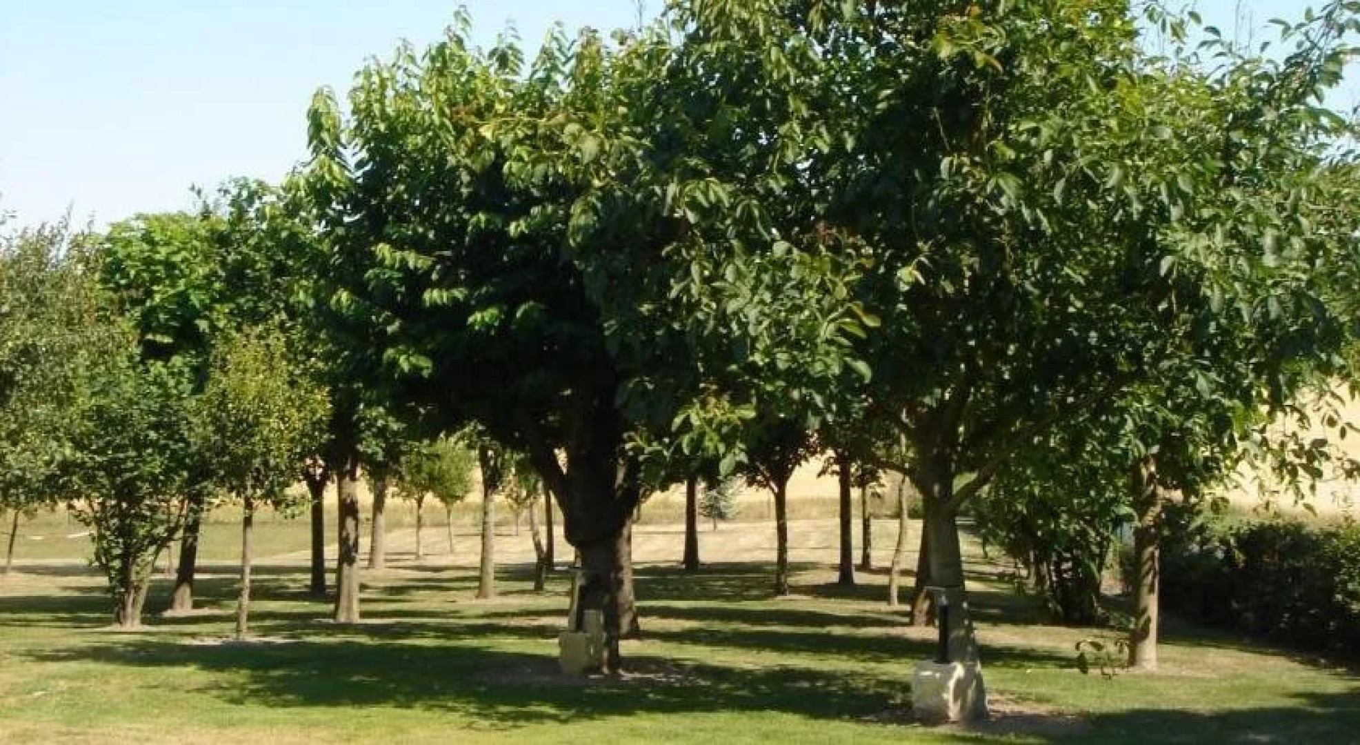 Manoir de la Rousselliere