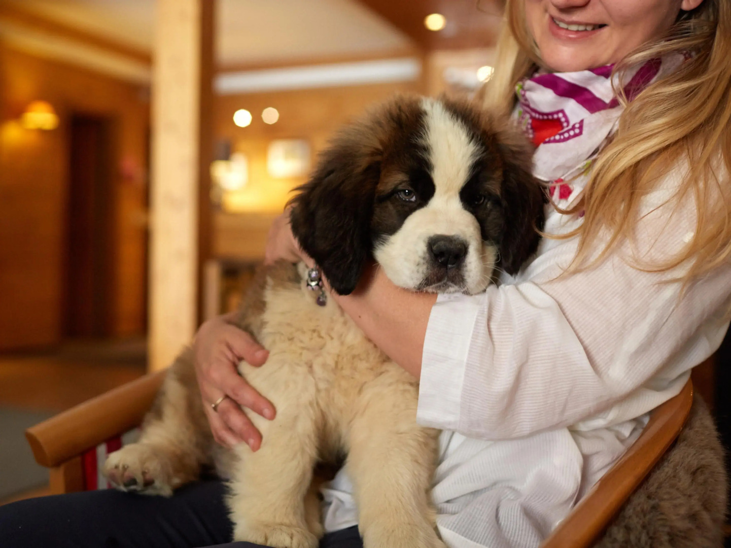 Hôtel de l'Arve by HappyCulture