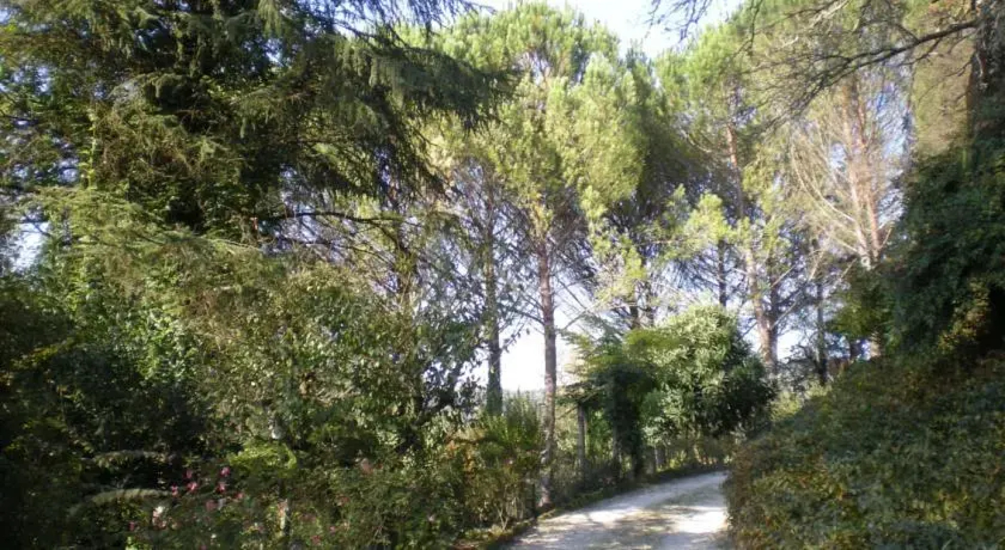 Il Casale Delle Muse