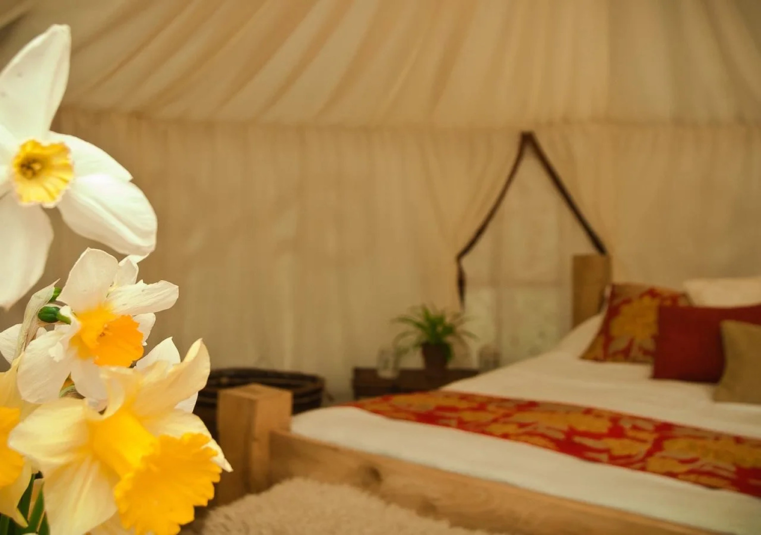 Plush Tents Glamping