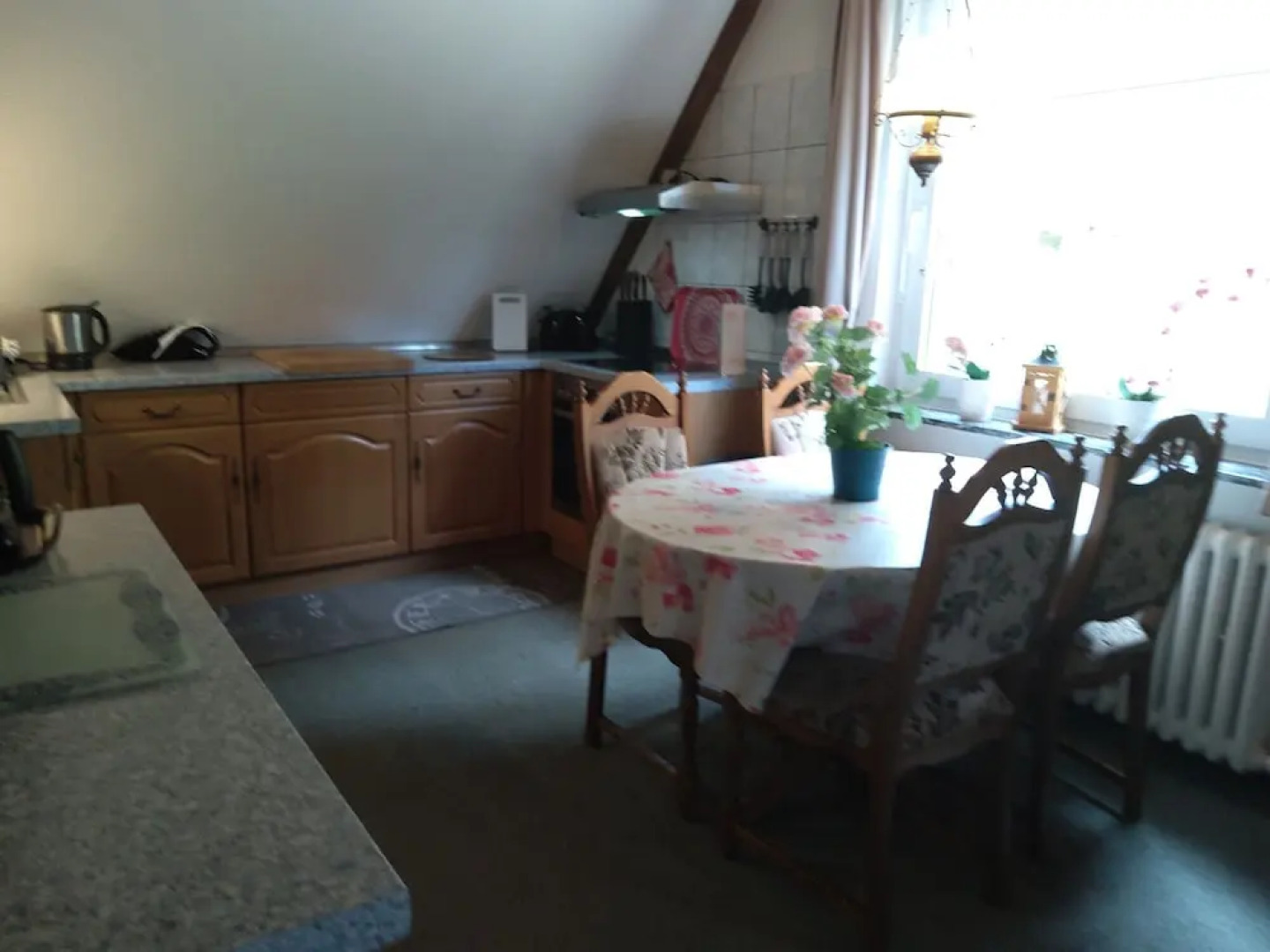 Large Apartment in Wildemann in the Upper Harz, at the Edge of the Forest