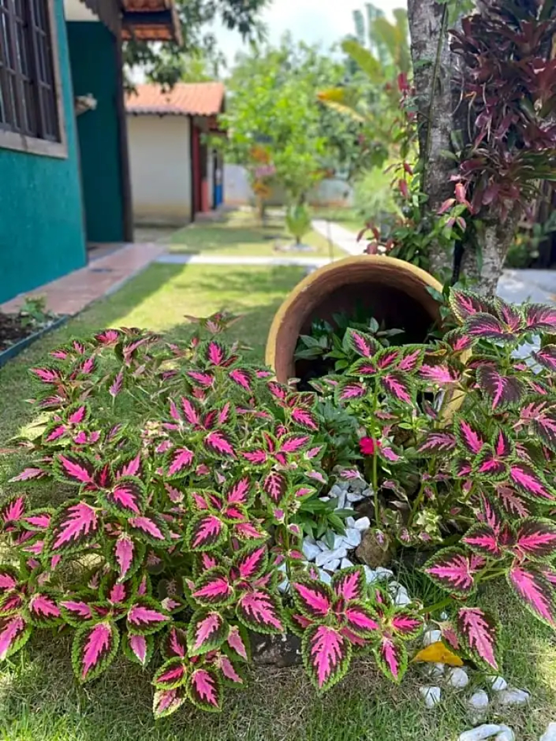 Suítes Pedra Nica