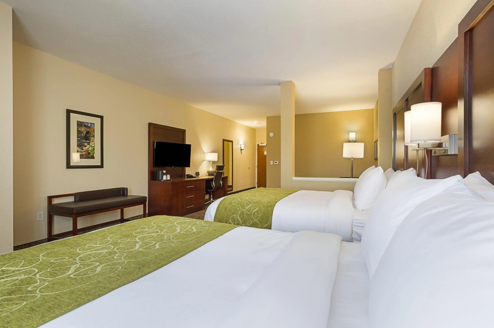 Comfort Suites Greenville South