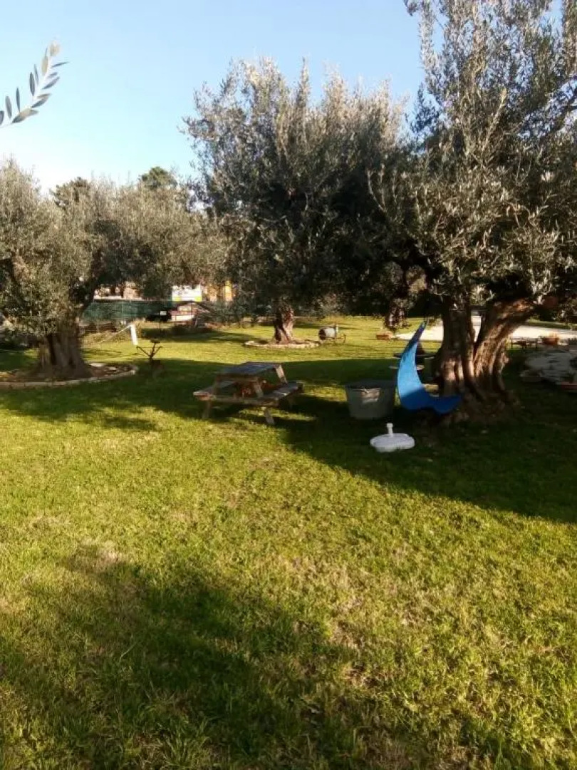 C'era una volta Podere San Giovanni