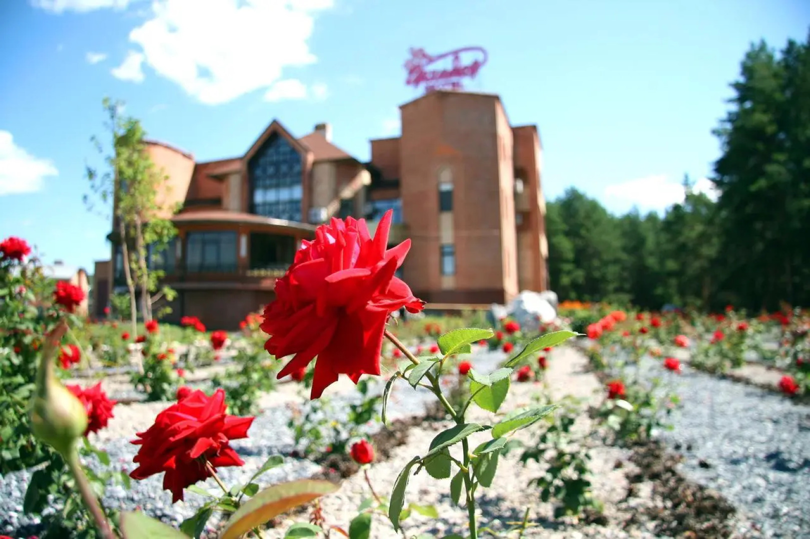 Отель Орхидея