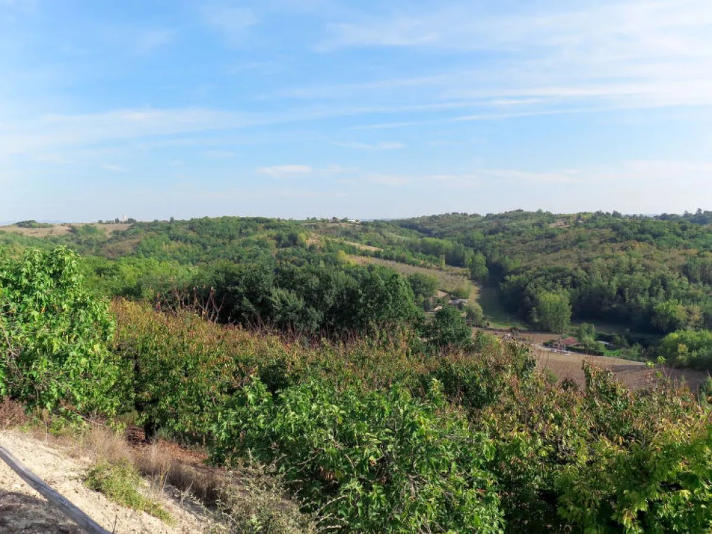 Roque Piquet (HDC401)