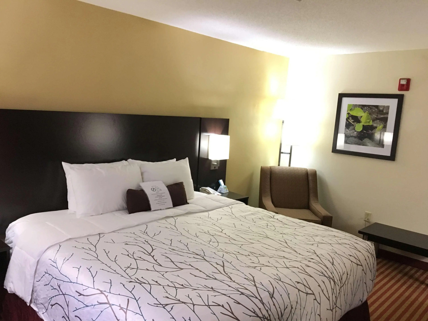 Best Western Patriots Point