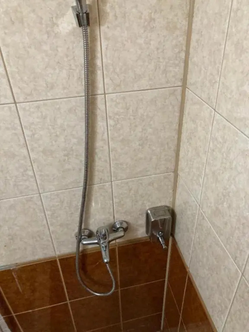 Lions Studio Dristor