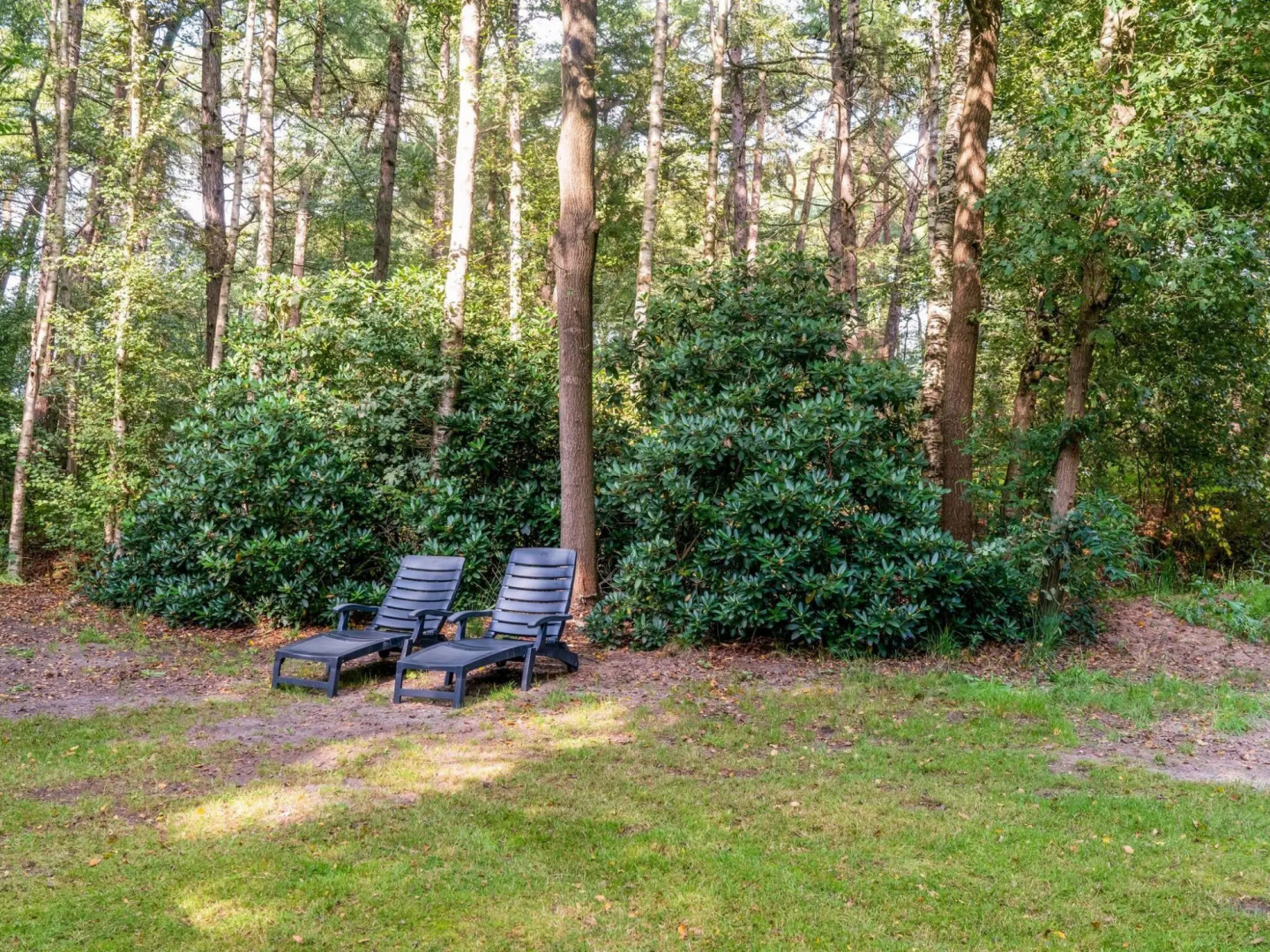Lovely Holiday Home in Rheezerveen, in the Woods of Estate