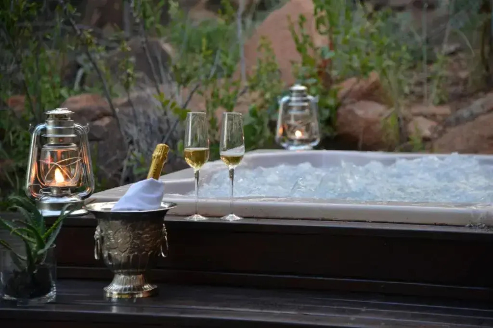 Wild & Free Game Lodge