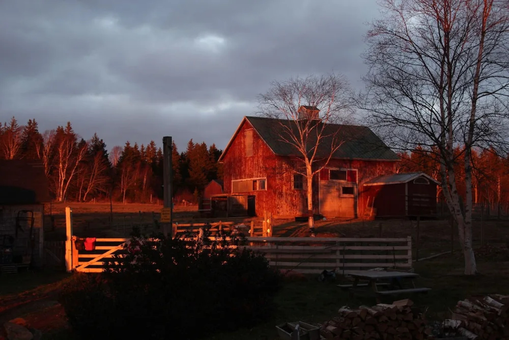 Seaweed and Sod Farm Bed & Breakfast