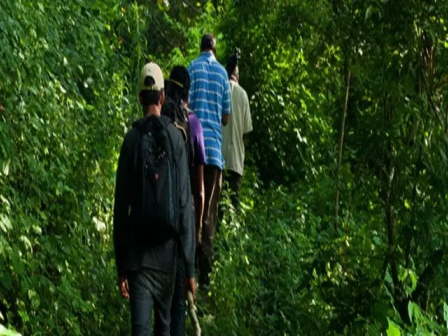 Tranquil Nest Resort - Thandikudi