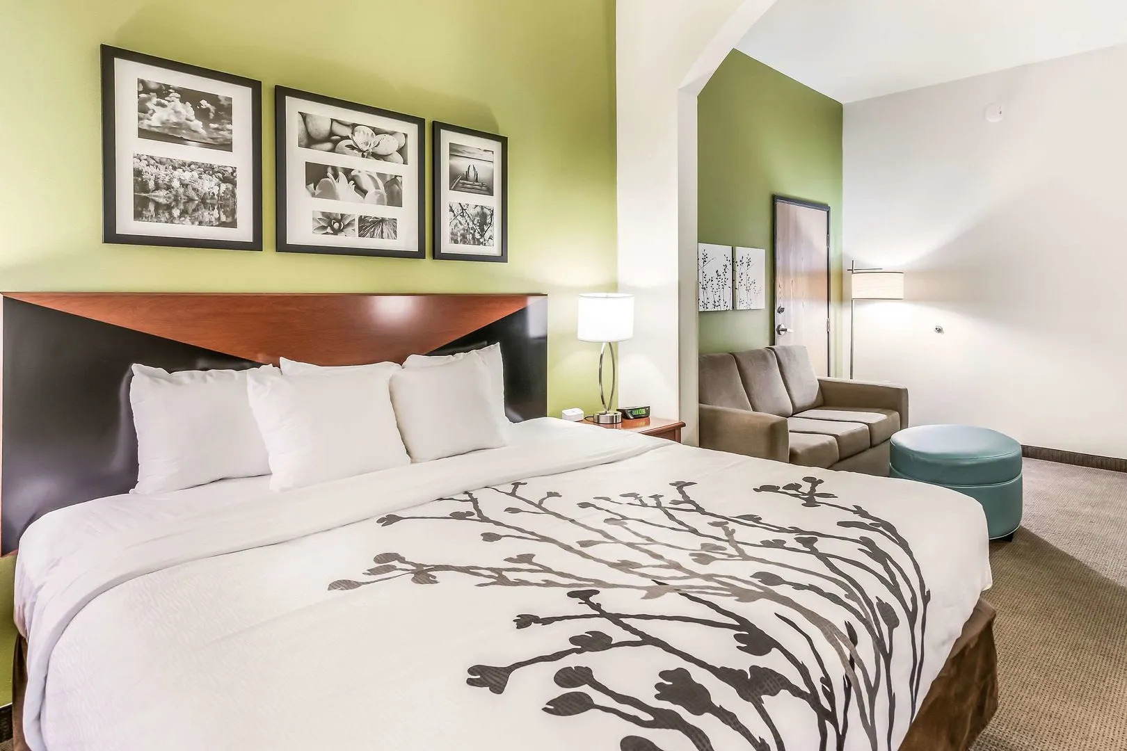 Sleep Inn & Suites Fort Stockton