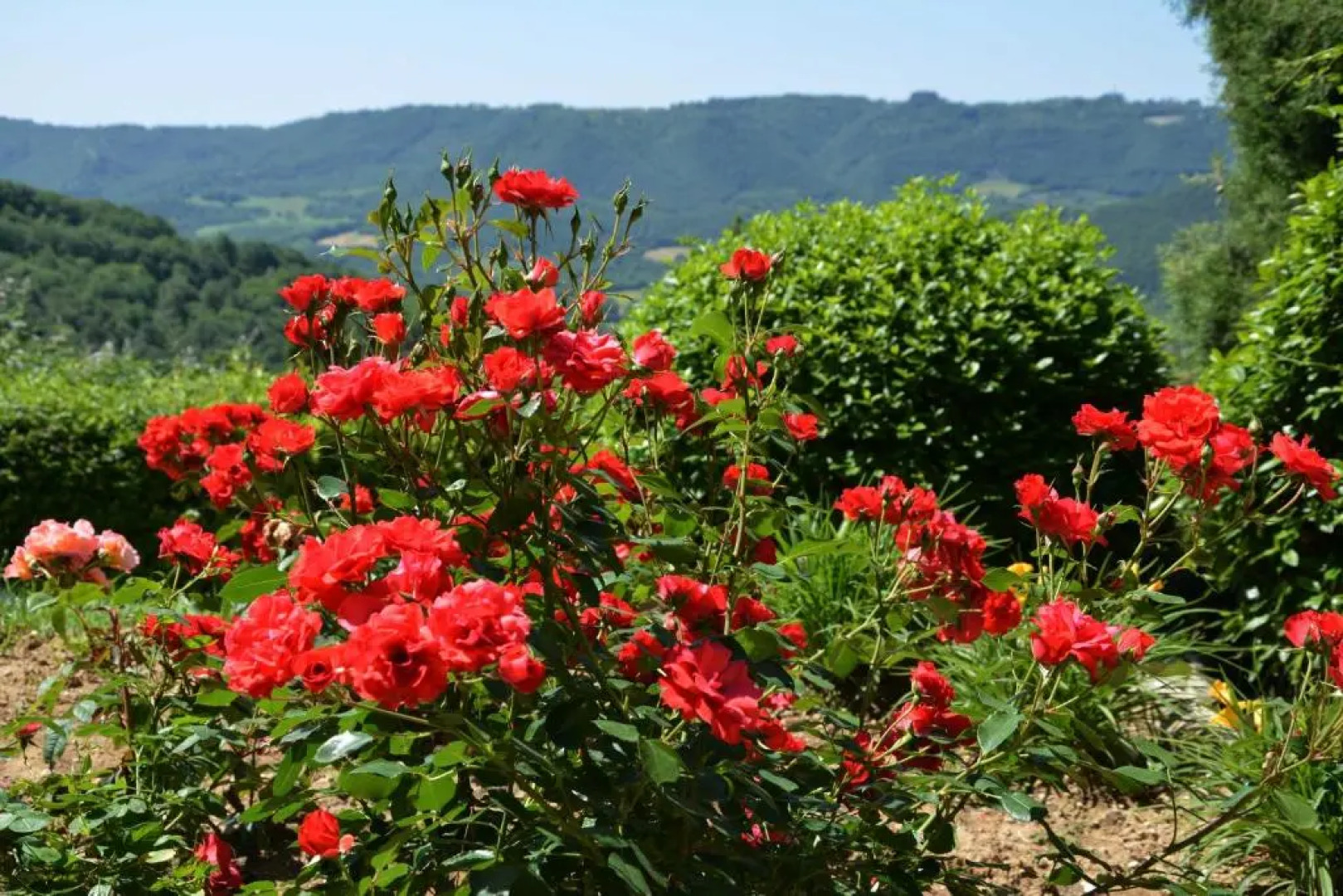 Il Poggiolo di Parrano