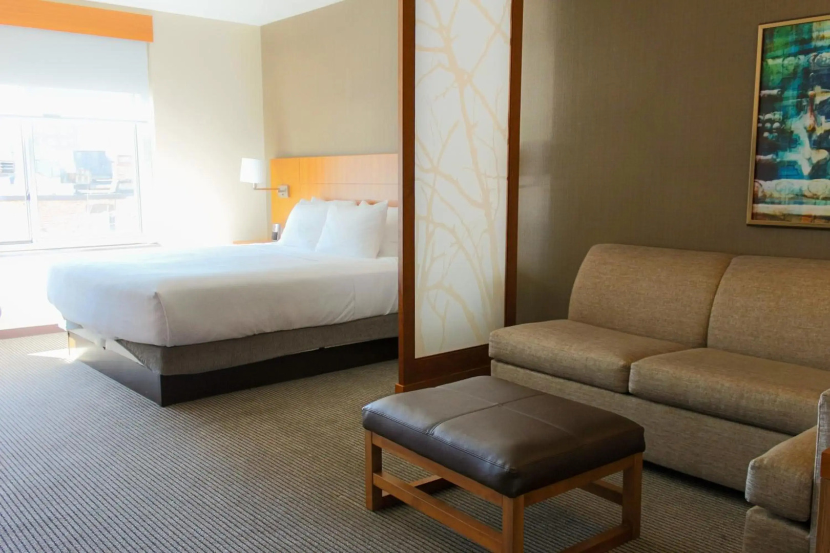 Hyatt Place Chicago-South/University Medical Center