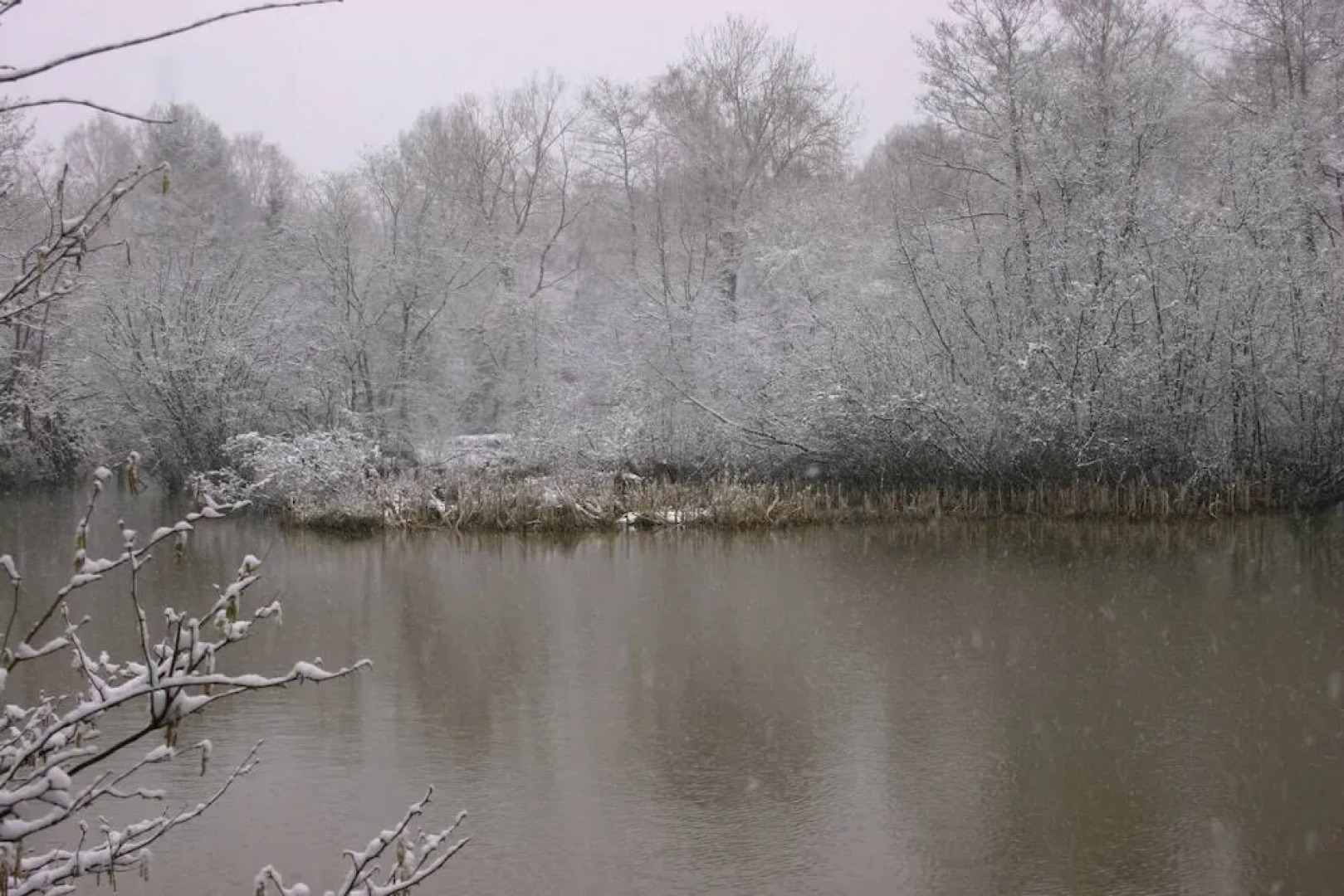 Thimbles Bed & Breakfast