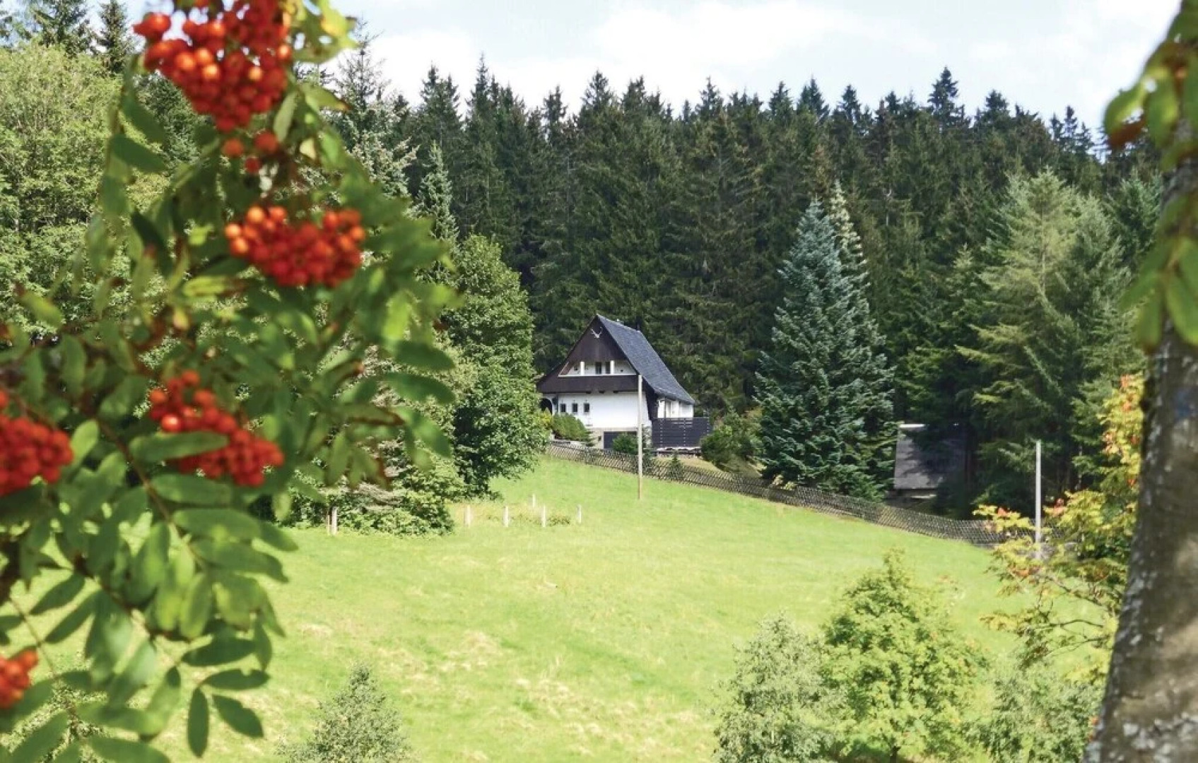 Stunning Home in Tellerhäuser With 2 Bedrooms