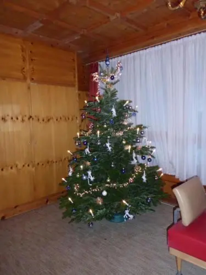 Appartement Ginschel