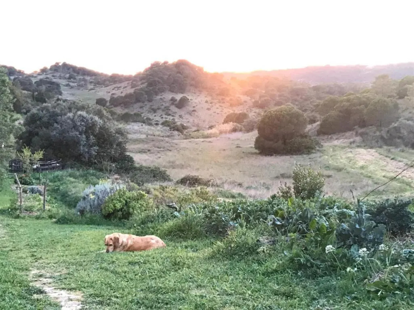 Biovilla Sustentabilidade