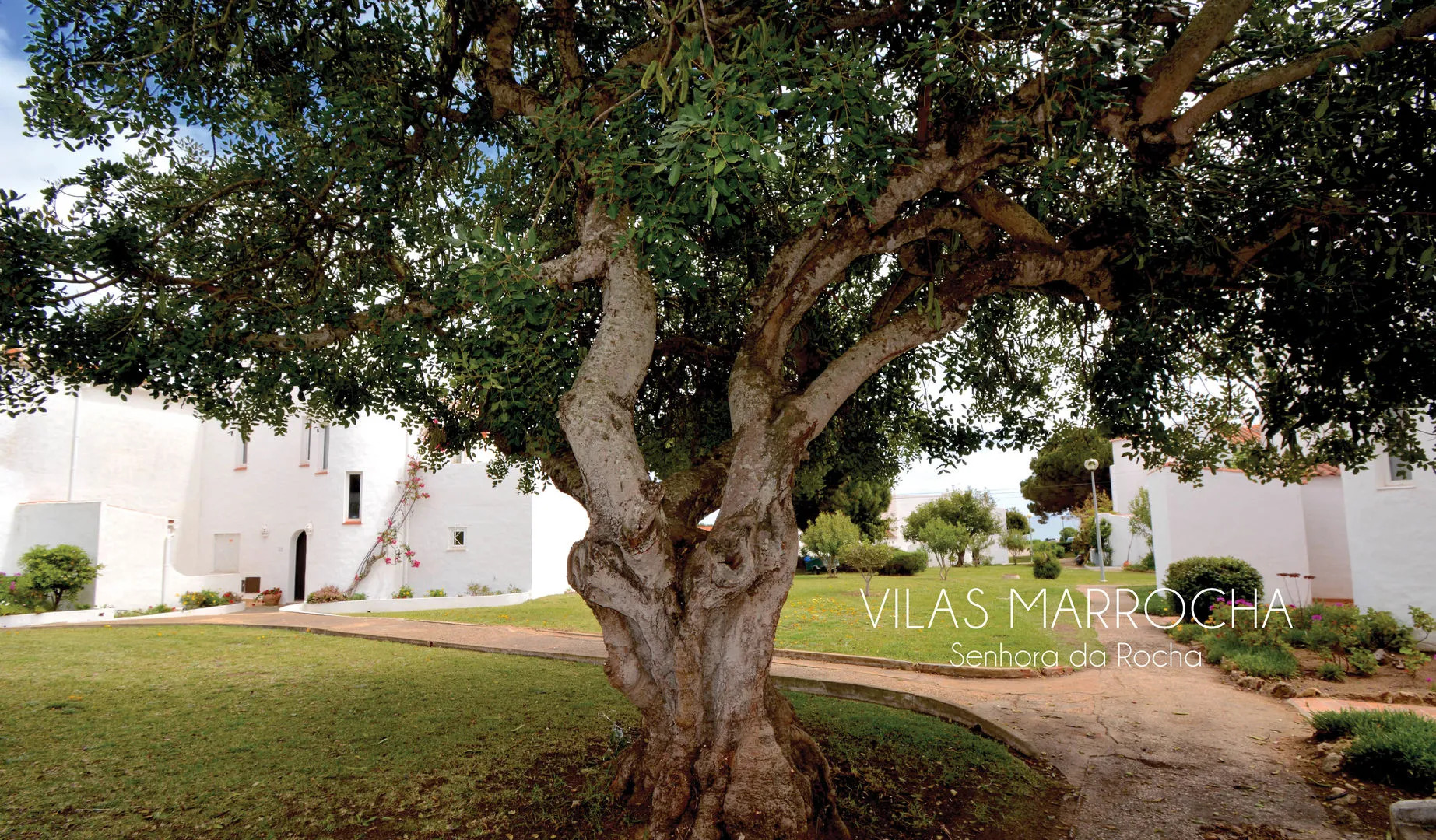 Vilas Marrocha  Senhora da Rocha