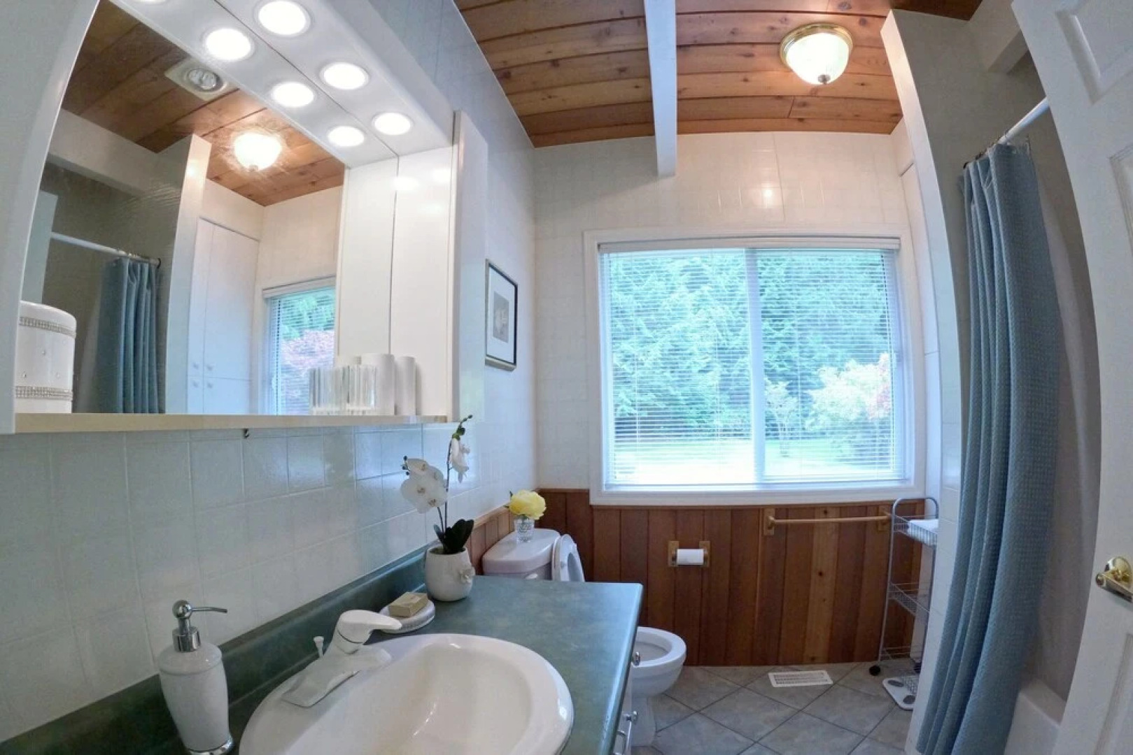 Sea La Vie Rare Peaceful Hidden Gem