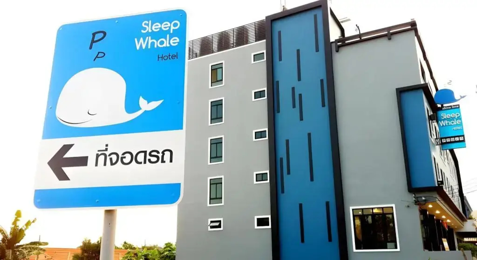Sleep Whale Hotel