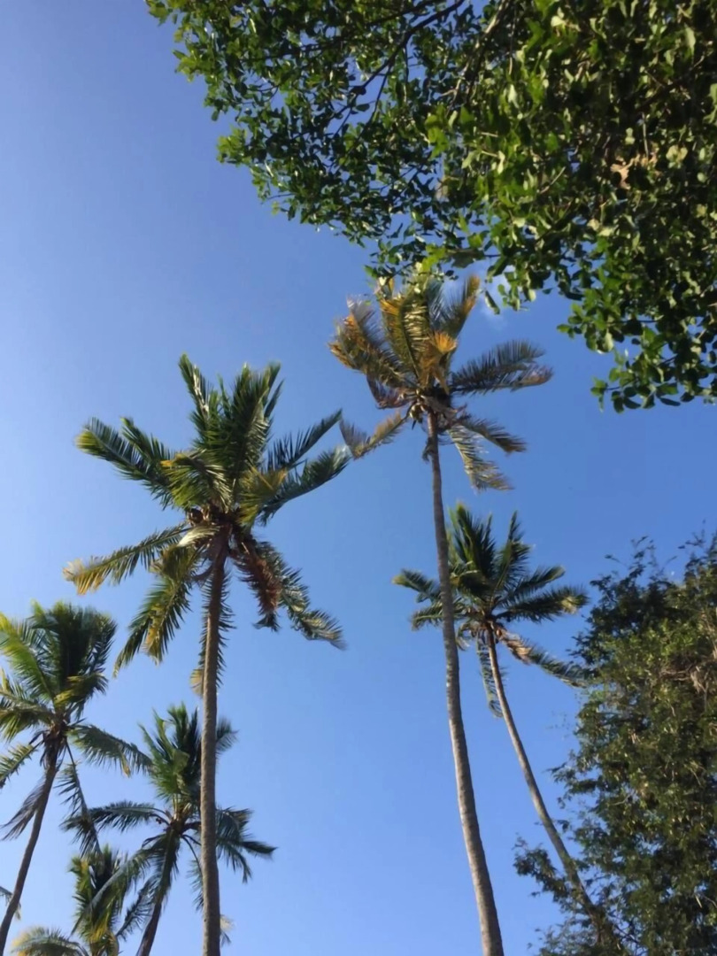 Acuarela Hostal - Hostel